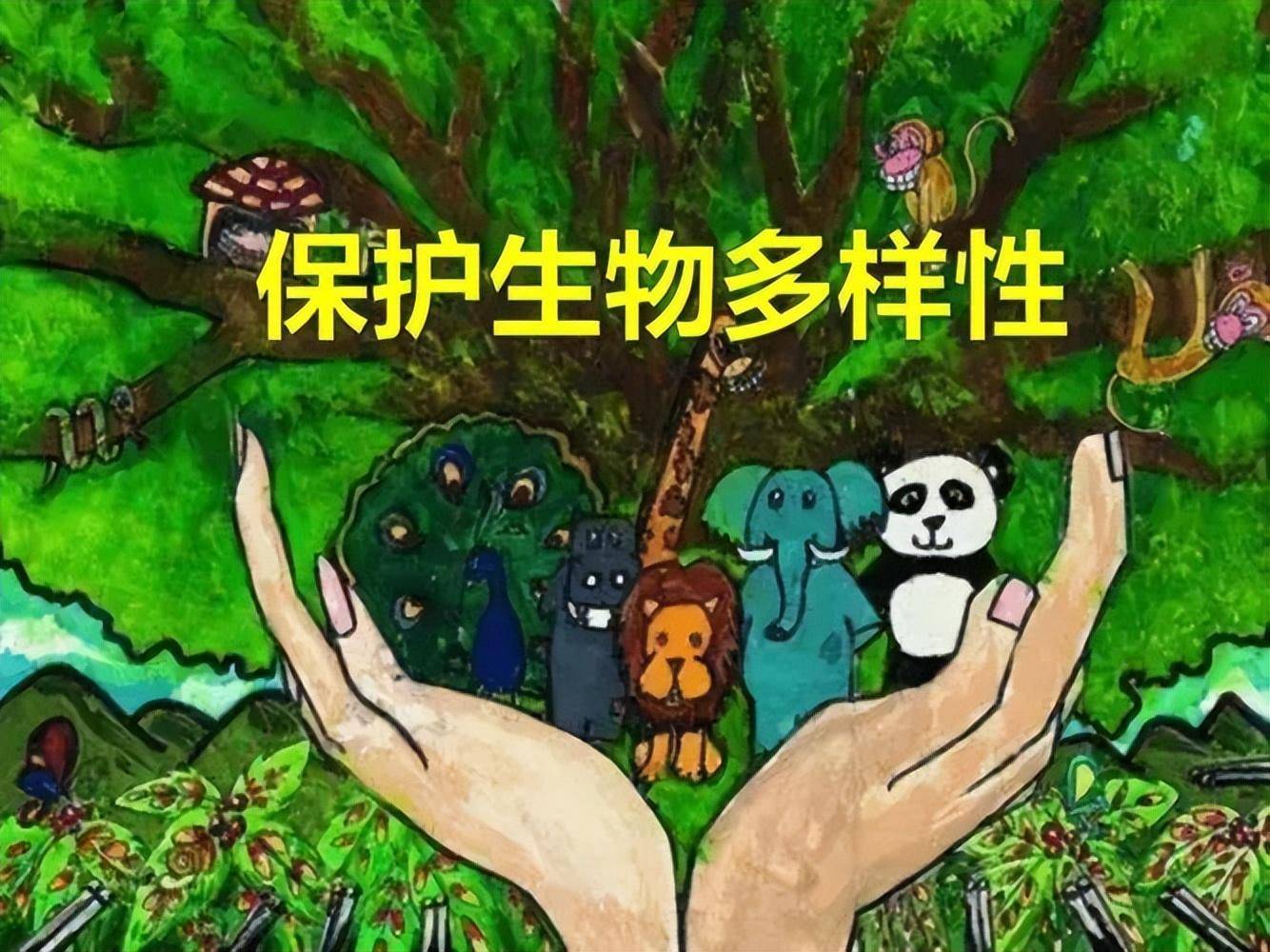 生物多女足世界杯样性的重要性和保护措施(图1)