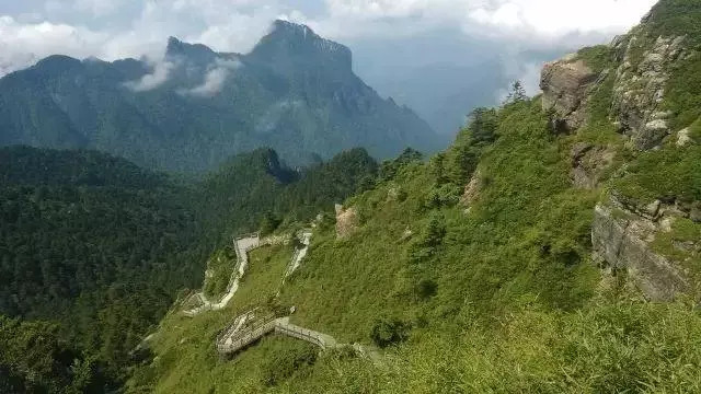 女足世界杯【假日赏读】中国十大森林公园(图28)