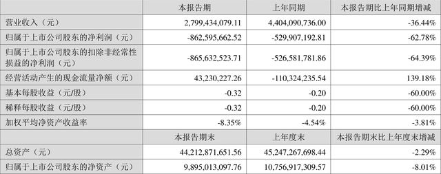 6686体育东方园林：2022年上半年亏损863亿元(图1)