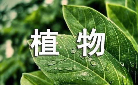 6686体育绿色植物养护标准(图1)