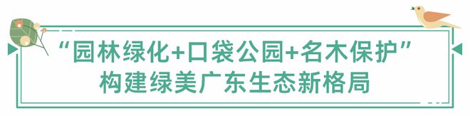 稳妥推进城市园林绿化助力绿美广东生态建设6686体育(图2)