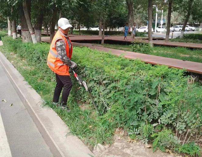 6686体育强化绿化养护  扮靓城市风景(图2)