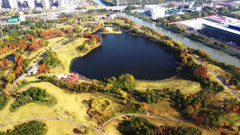 6686体育打造“高颜值”城市水系！宝山区扎实开展河道长效管理养护工作(图5)