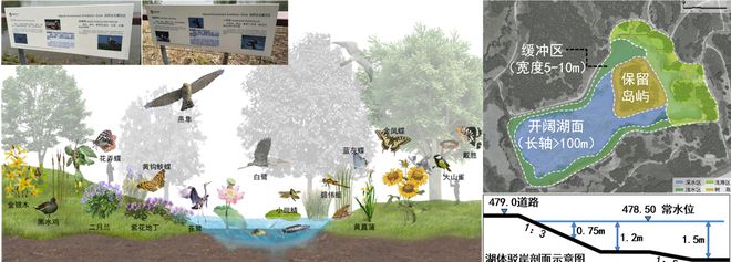 风景园林与旅游类 2019北京世园会自然生态展示区园林景观工程设计6686体育(图5)