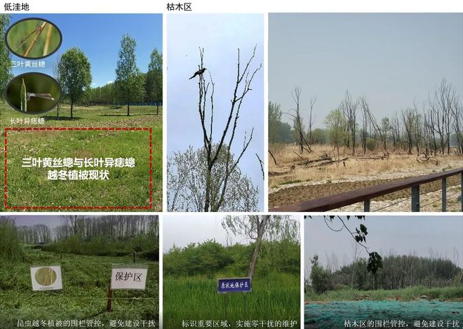 风景园林与旅游类 2019北京世园会自然生态展示区园林景观工程设计6686体育(图6)