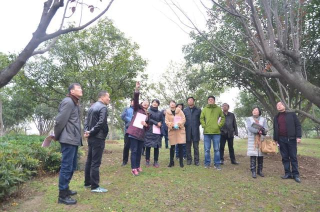 给植物松土、施肥、修剪、除杂……洪山区园林局冬季养护大比拼6686体育(图1)