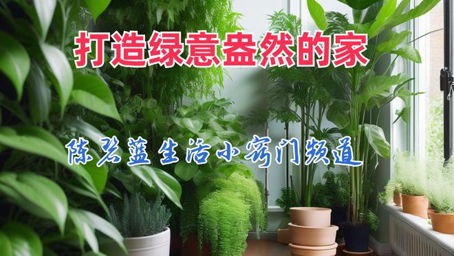 打造绿意盎然的家！室内植物养护小窍门6686体育(图2)