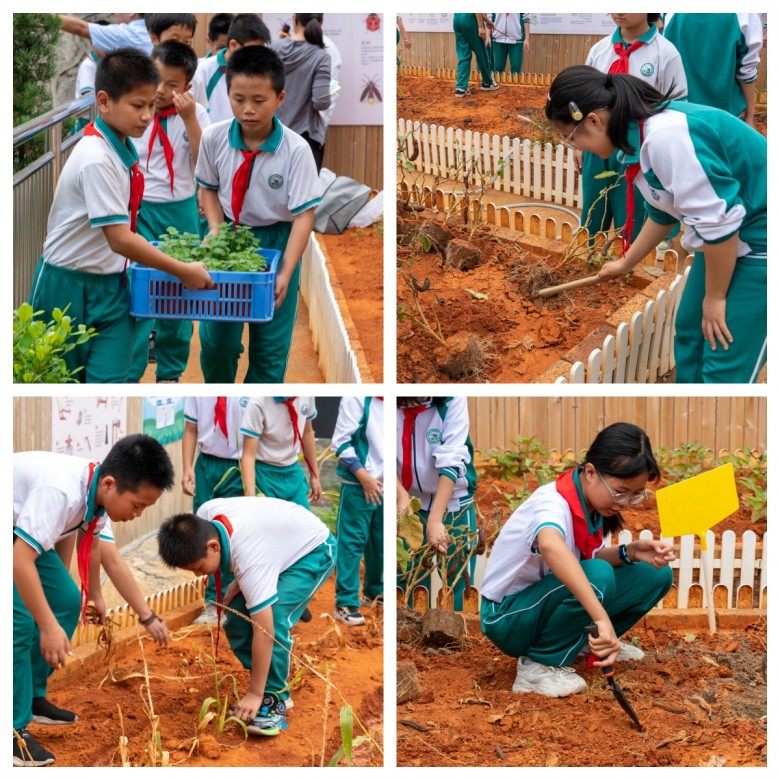 韶关：田家炳沙湖绿洲小学劳动教育农场开课 今托管平台赋能课6686体育后服务数字化“升级”(图3)