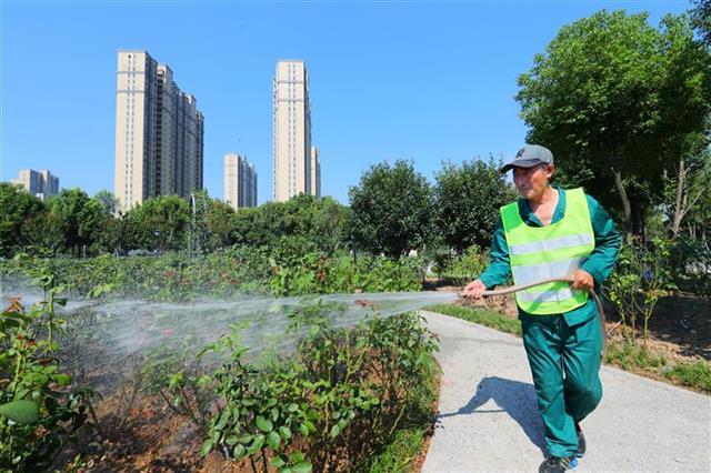 洪山街头绿植享受“淋浴”“足浴”6686体育(图1)