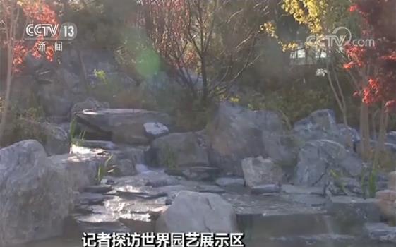 6686体育：【百花齐放 魅力世园】探访世界园艺展示区 建筑新奇 植物多样(图4)