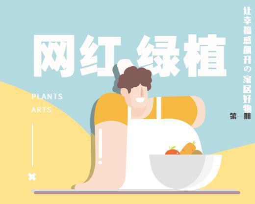 6686体育官方：家居好物｜5款网红绿植你家适合哪一款？(图1)