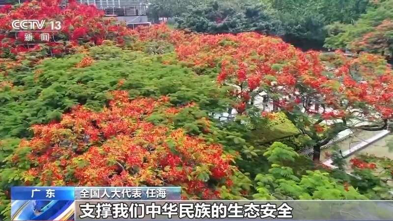 6686体育下载：让100多种植物扎根岭南大地 他在调研与实验中找到答案(图4)