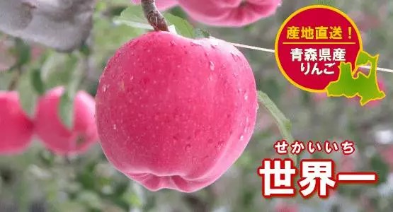 6686：天价草莓每颗1万4千块！细数日本的中高端水果系列(图1)