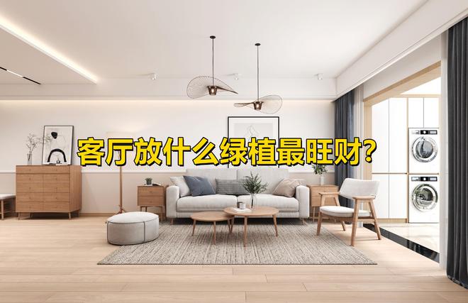 6686体育app：客厅放什么绿植最旺财？这7种都很不错寓意好又上档次(图1)